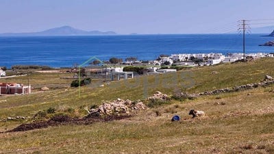 /international/gr/ampelas-aegean-310107921957/