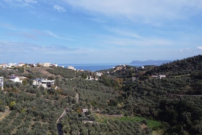 /international/gr/nea-kydonia-crete-310096372464/