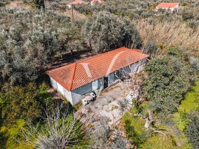 /international/gr/agios-andreas-peloponnese-western-greece-and-ionian-310106289731/