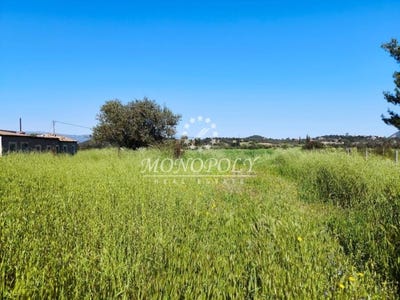 /international/gr/petrothalassa-ermionis-peloponnese-western-greece-and-ionian-310107302086/