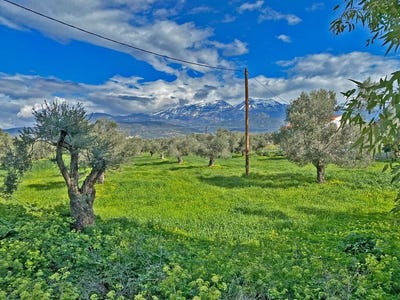 /international/gr/tibaki-crete-310107070861/