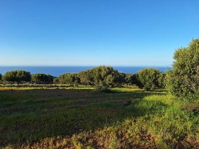 /international/gr/agios-nikolaos-thessaly-central-greece-310108103858/