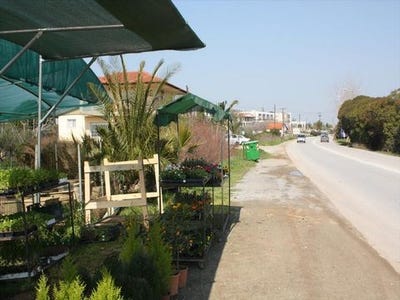 /international/gr/kassandra-macedonia-thrace-310103785381/