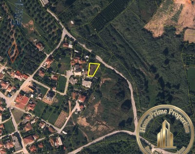 /international/gr/φερεου-κοραη-15-ag-thomas-481-00-greece-agios-thomas-thessaly-central-greece-310108775970/
