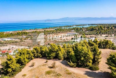 /international/gr/pefkochori-macedonia-thrace-310103370825/