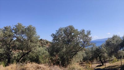 /international/gr/pyrgadikia-macedonia-thrace-310108008149/