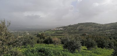 /international/gr/alithini-crete-310110413532/
