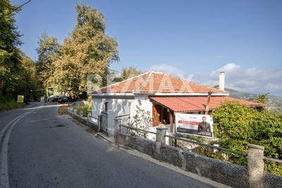 /international/gr/mouresi-thessaly-central-greece-310102372439/