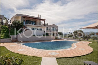/international/gr/agios-syllas-crete-310109202194/