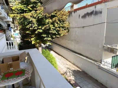 /international/gr/oreokastro-macedonia-thrace-310103791629/