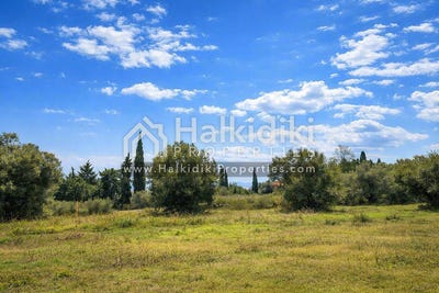 /international/gr/kassandra-macedonia-thrace-310108870818/