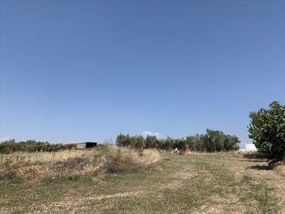 /international/gr/epanomi-macedonia-thrace-310103785106/