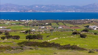 /international/gr/kostos-aegean-310107582243/
