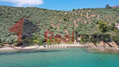 /international/gr/karavotsaki-thessaly-and-central-greece-310100735419/