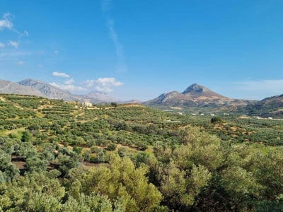 /international/gr/mariou-crete-310104250504/