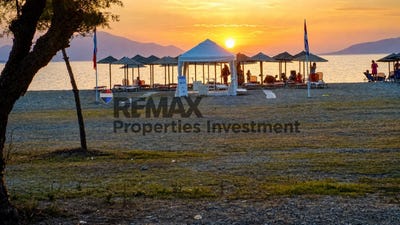 /international/gr/artemisio-thessaly-central-greece-310108726261/