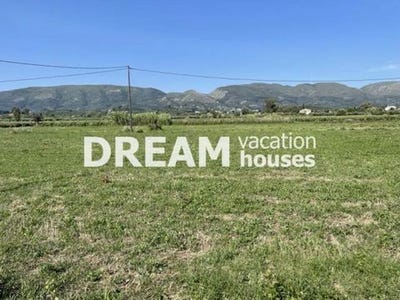/international/gr/zakinthos-nisos-ionioi-nisoi-310100142064/