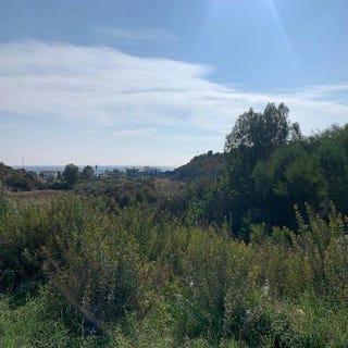 /international/gr/rhodes-aegean-310106054132/