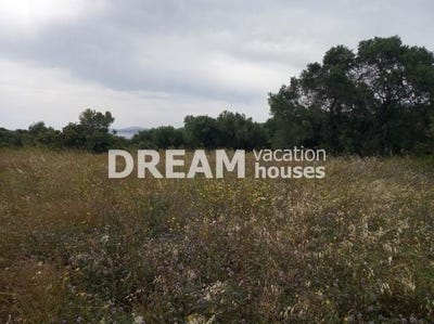 /international/gr/agios-dimitros-peloponnese-western-greece-and-ionian-310101036718/?lang=de