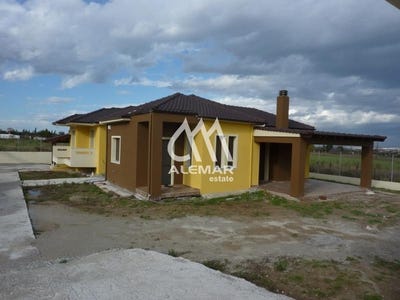 /international/gr/tagarades-macedonia-thrace-310099747750/