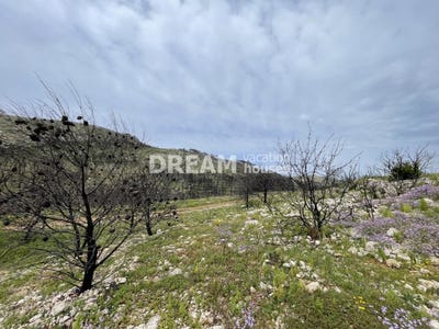 /international/gr/peloponnese-western-greece-and-ionian-310108553787/
