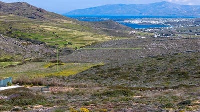 /international/gr/kalami-macedonia-thrace-310107582868/
