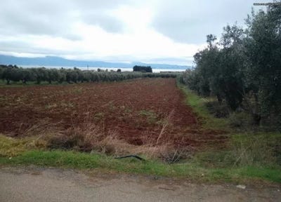 /international/gr/arkitsa-arkitsa-thessaly-and-central-greece-310096910326/