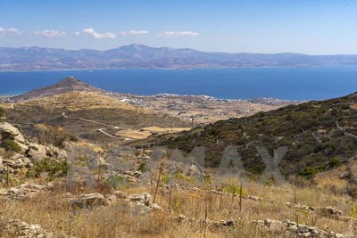 /international/gr/tourlos-aegean-310099563769/