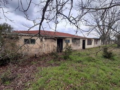/international/gr/vasilika-macedonia-thrace-310103791239/