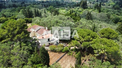 /international/gr/palaiokastritsa-corfu-peloponnese-western-greece-and-ionian-310108835272/?lang=zh-tw