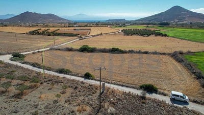 /international/gr/prodromos-aegean-310107026601/