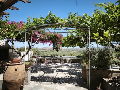 /international/gr/crete-310099899724/