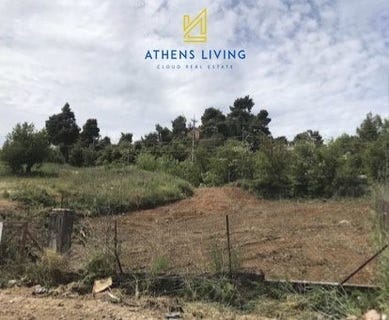 /international/gr/agios-stefanos-attica-310109439316/