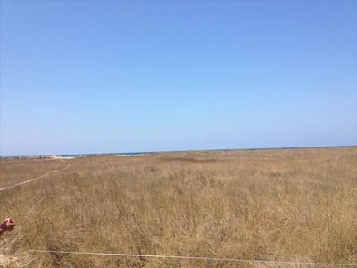 /international/gr/lechaina-peloponnese-western-greece-and-ionian-310103788391/
