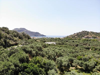 /international/gr/plakias-crete-120092287104/?lang=zh-tw