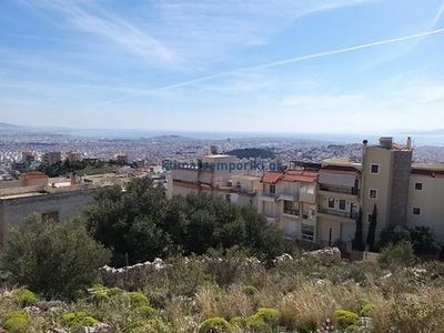 /international/gr/agia-sofia-thessaly-central-greece-310105061013/