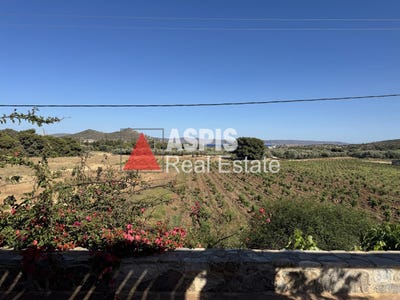 /international/gr/μαρκατι-attica-310100962447/?lang=zh-cn