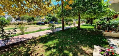 /international/gr/nea-skioni-macedonia-thrace-310105432758/