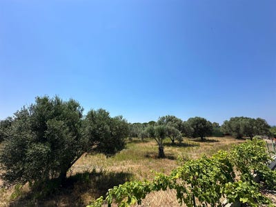 /international/gr/kefalonia-peloponnese-western-greece-and-ionian-310098731584/?lang=zh-cn