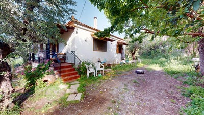 /international/gr/aithaia-peloponnese-western-greece-and-ionian-310098907011/