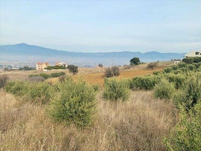 /international/gr/vasilika-macedonia-thrace-310105897403/