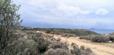 /international/gr/pitsidia-crete-310110413644/