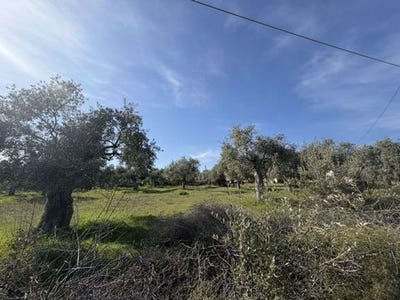 /international/gr/thasos-makedonia-thrace-310106359218/
