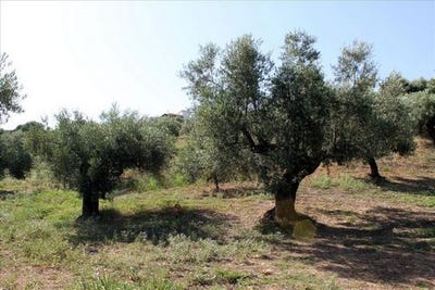 /international/gr/sithonia-macedonia-thrace-310103789199/