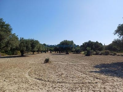 /international/gr/rhodes-aegean-310105348352/