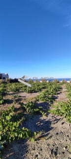 /international/gr/vothonas-aegean-310101175915/?lang=zh-cn