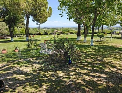 /international/gr/korinos-macedonia-thrace-310107864274/