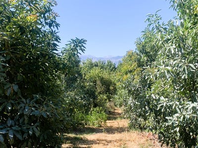 /international/gr/agia-crete-310101184808/?lang=en