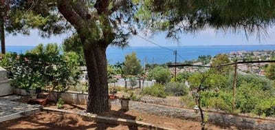 /international/gr/poligiros-macedonia-thrace-310103786090/