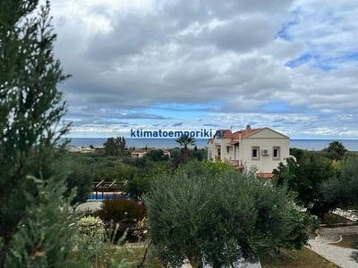 /international/gr/platania-macedonia-thrace-310109345146/